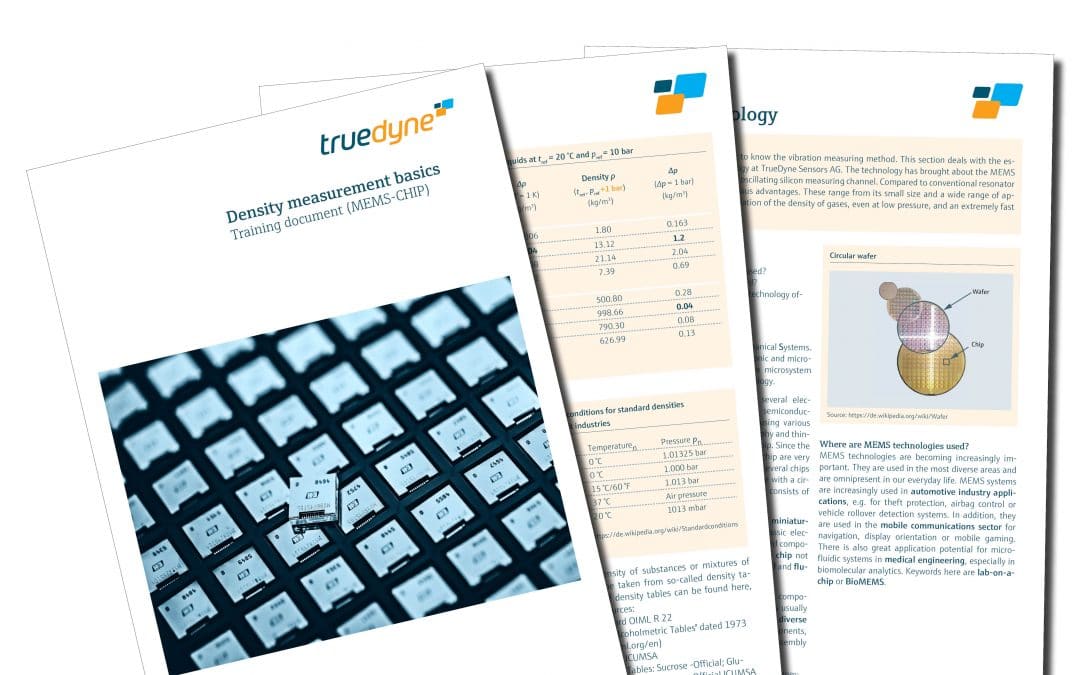 PDF_Training_Dichtemessung_Grundlagen_1809