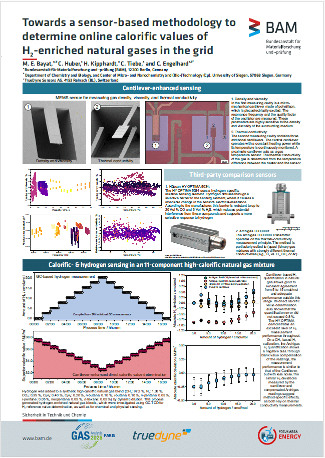 Poster Cantilever